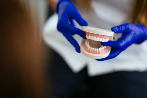 Fresno, TX  Holistic Dental Services Company